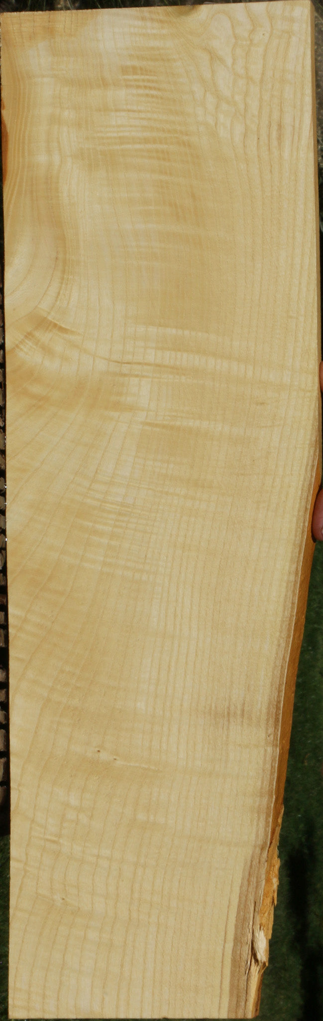 Extra Fancy Fiddleback French Ash Lumber