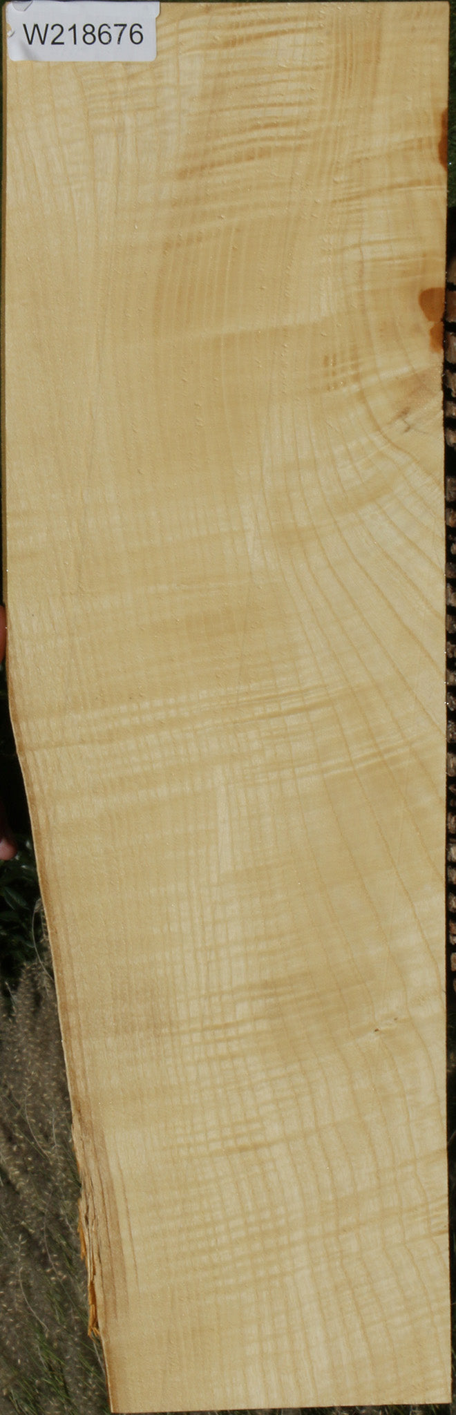 Extra Fancy Fiddleback French Ash Lumber