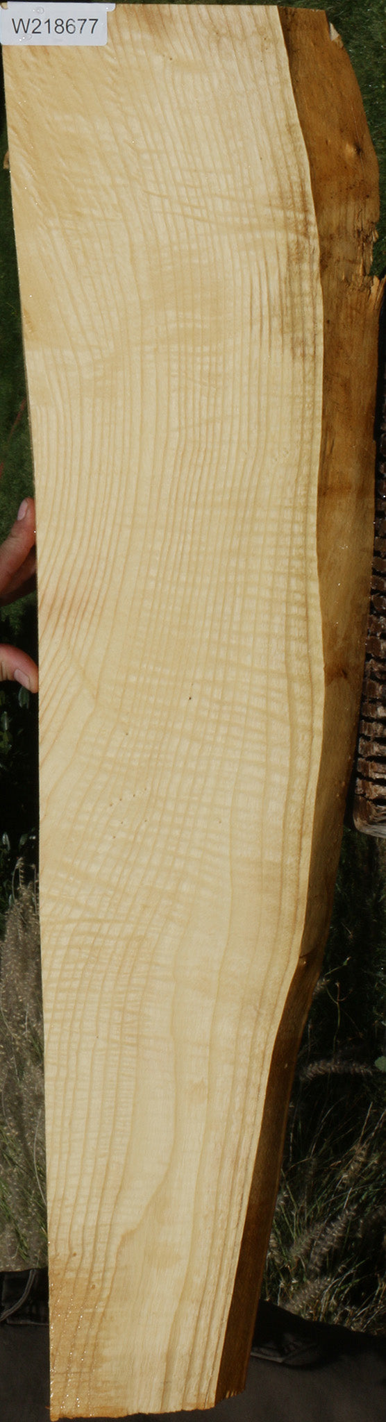 Extra Fancy Fiddleback French Ash Live Edge Lumber