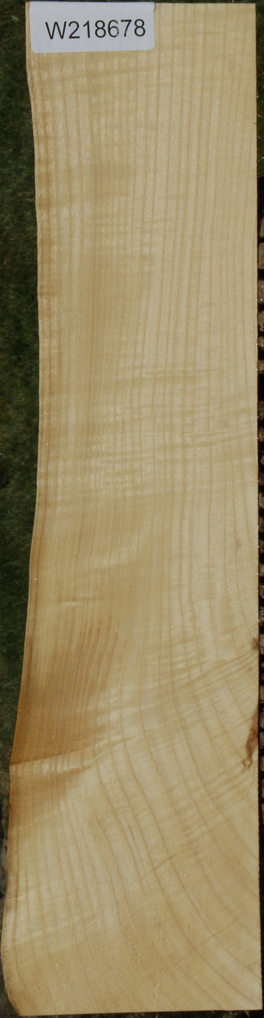 Extra Fancy Fiddleback French Ash Live Edge Lumber