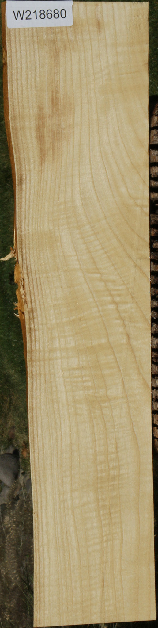 Extra Fancy Fiddleback French Ash Lumber