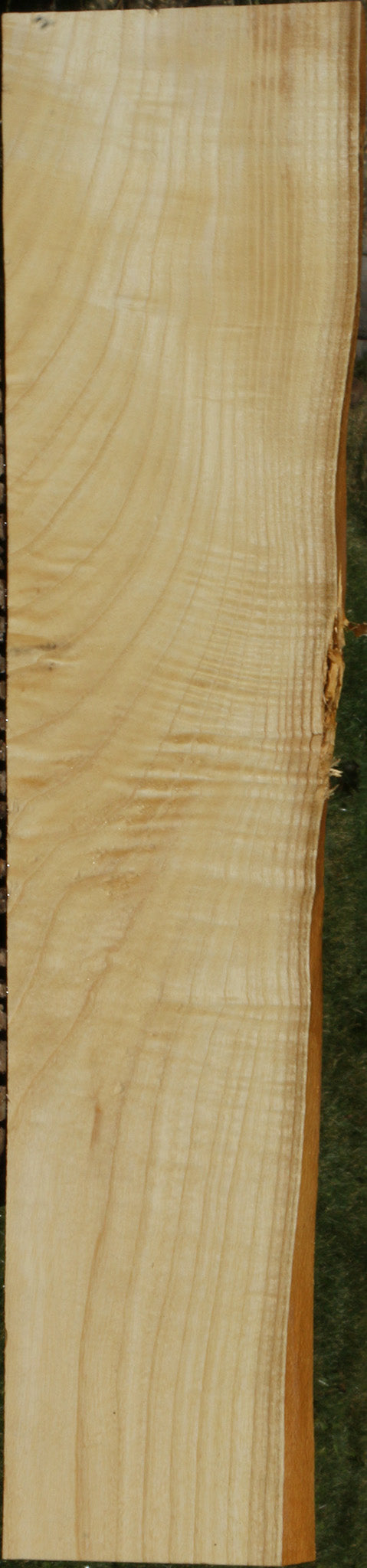 Extra Fancy Fiddleback French Ash Lumber