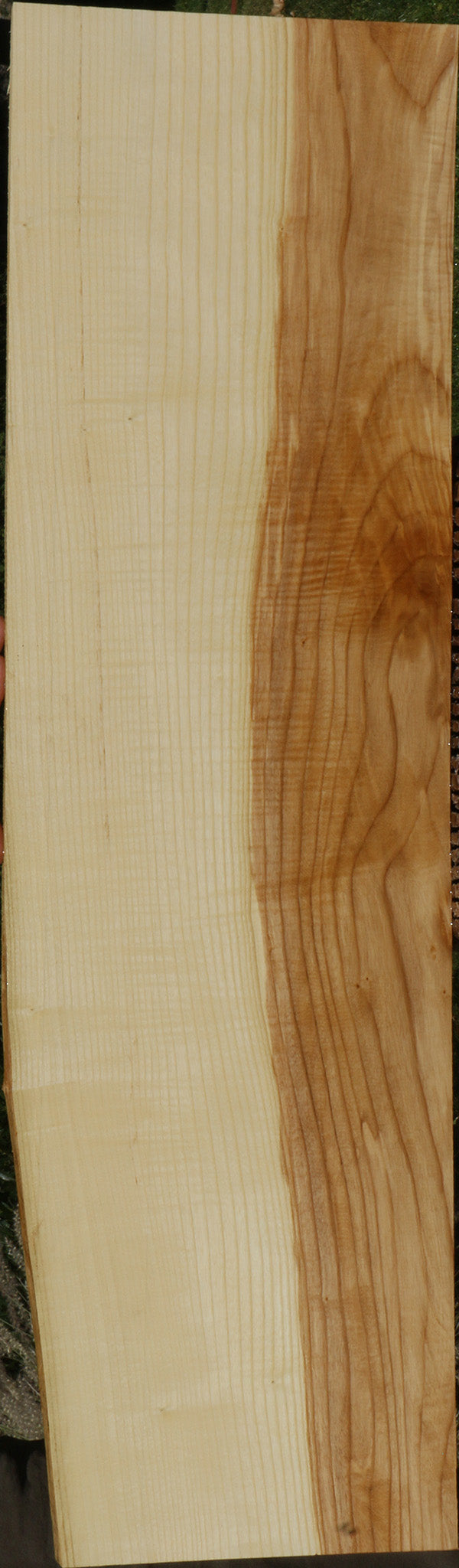 Extra Fancy Fiddleback French Ash Lumber