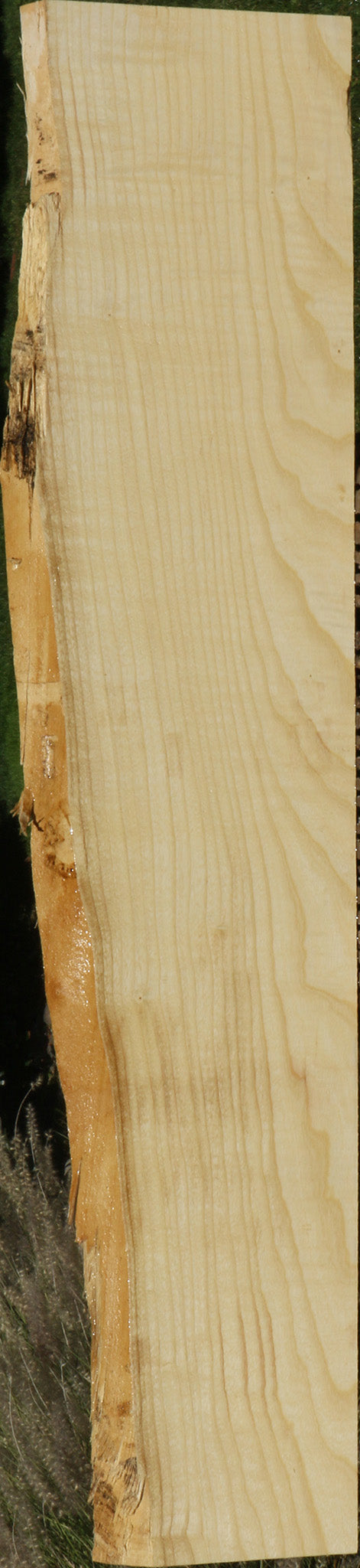 Extra Fancy Fiddleback French Ash Live Edge Lumber