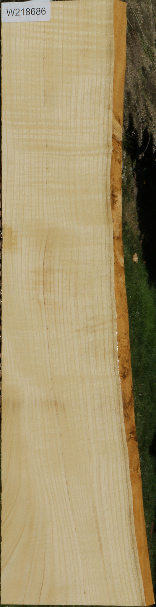 Extra Fancy Fiddleback French Ash Live Edge Lumber