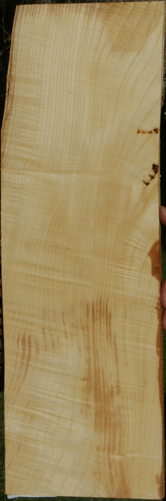 Extra Fancy Fiddleback French Ash Lumber