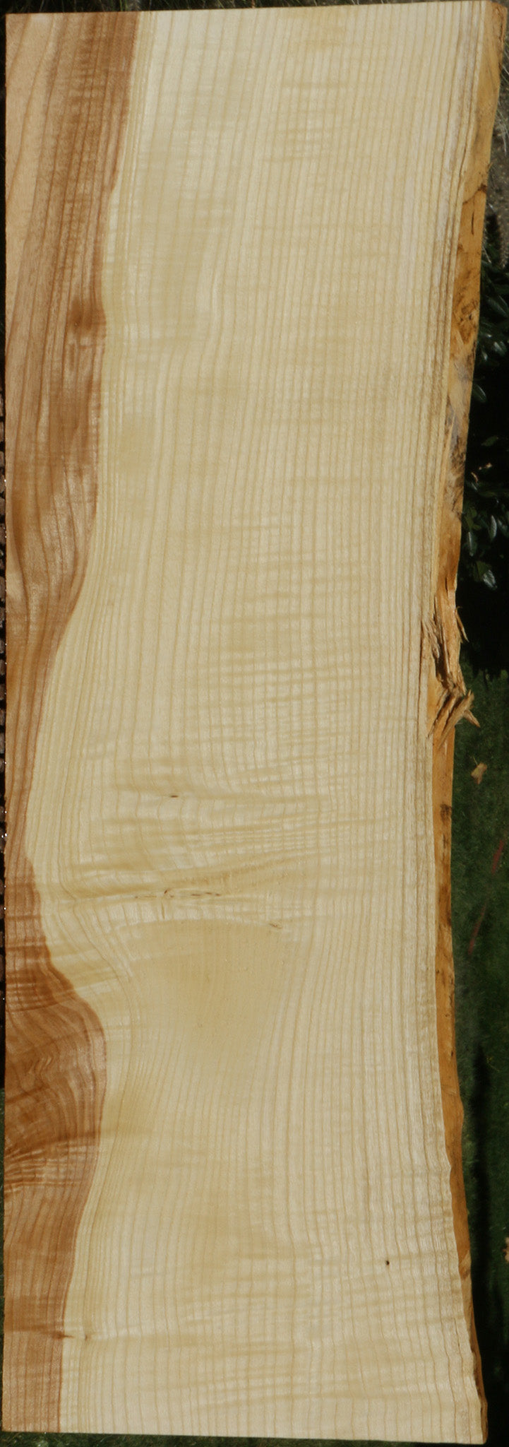 Extra Fancy Fiddleback French Ash Live Edge Lumber