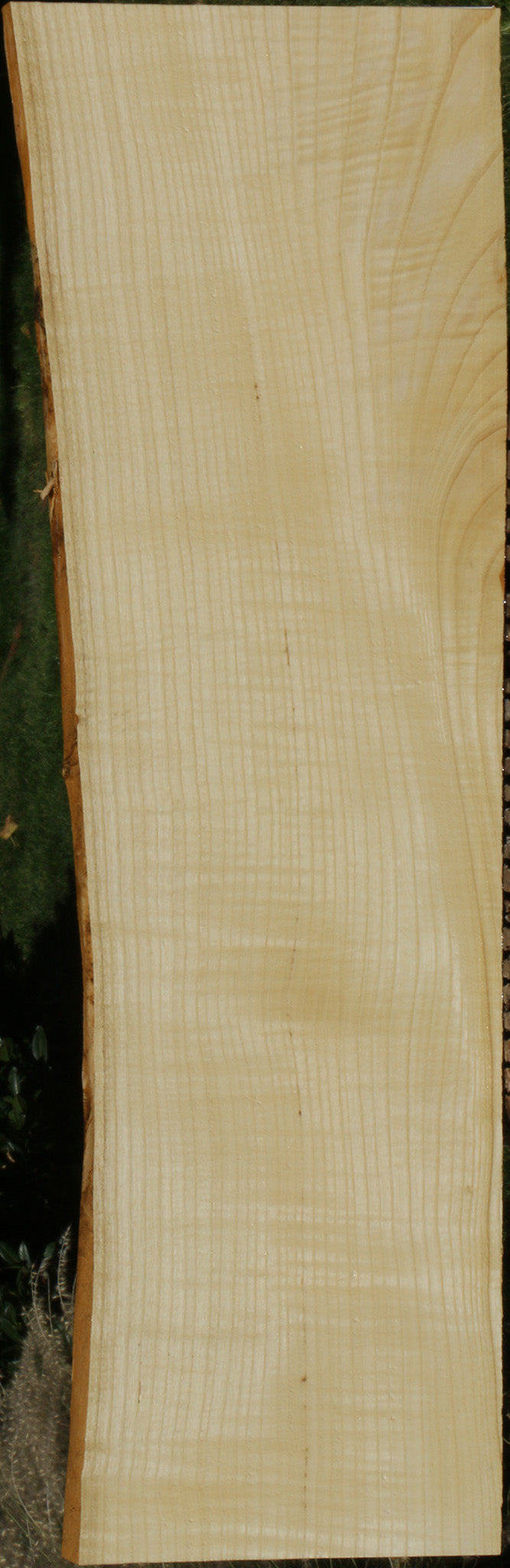 Extra Fancy Fiddleback French Ash Live Edge Lumber