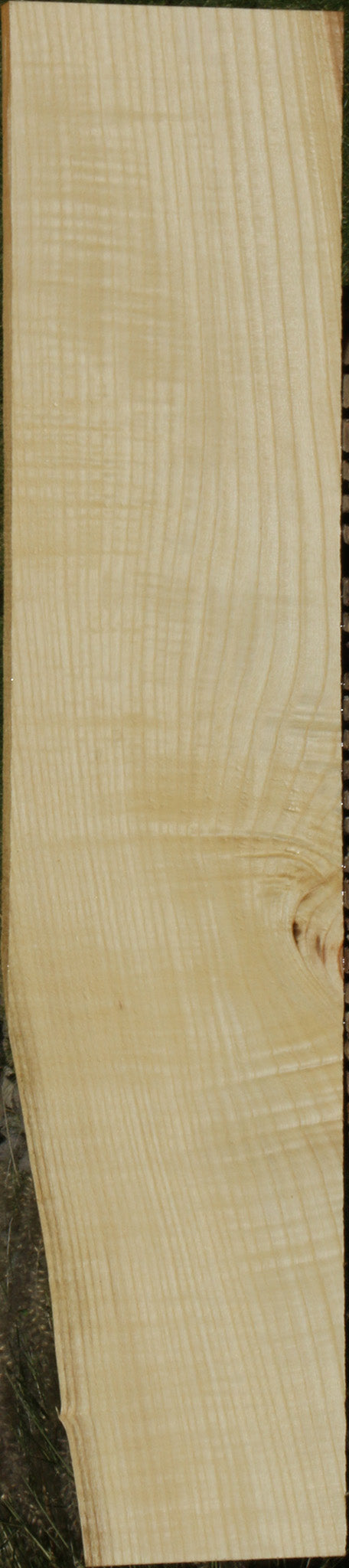 Extra Fancy Fiddleback French Ash Lumber