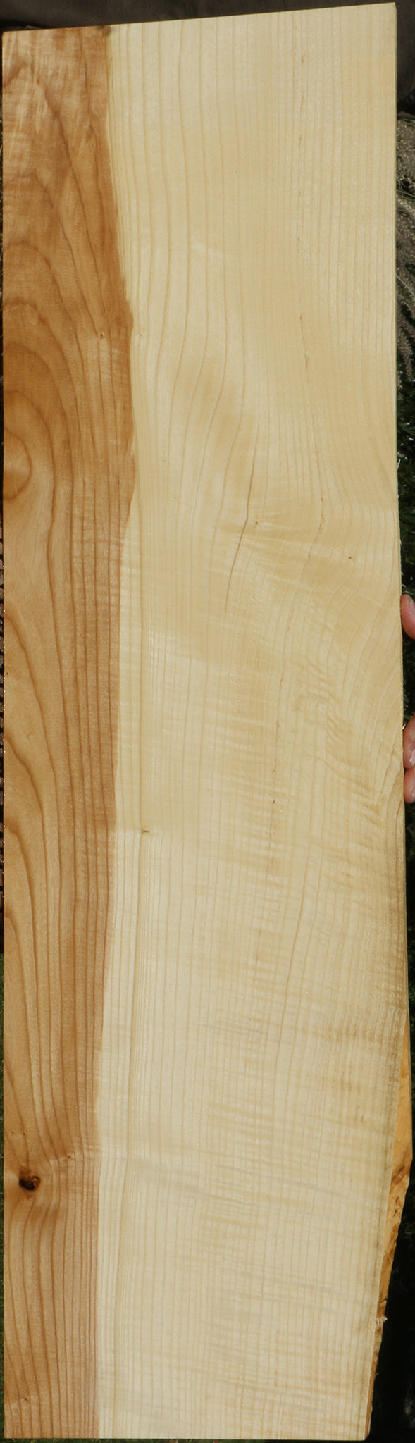 Extra Fancy Fiddleback French Ash Lumber