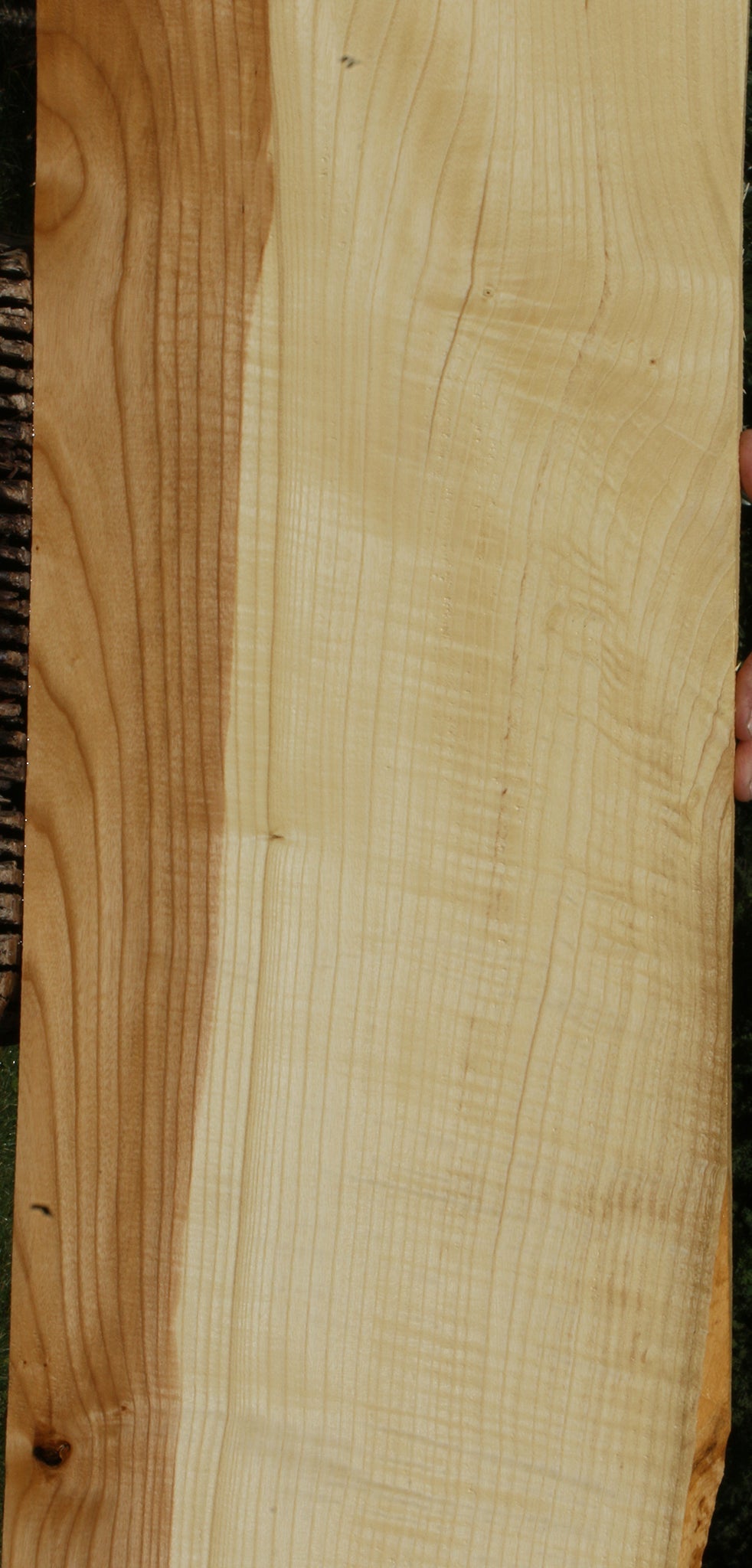 Extra Fancy Fiddleback French Ash Lumber