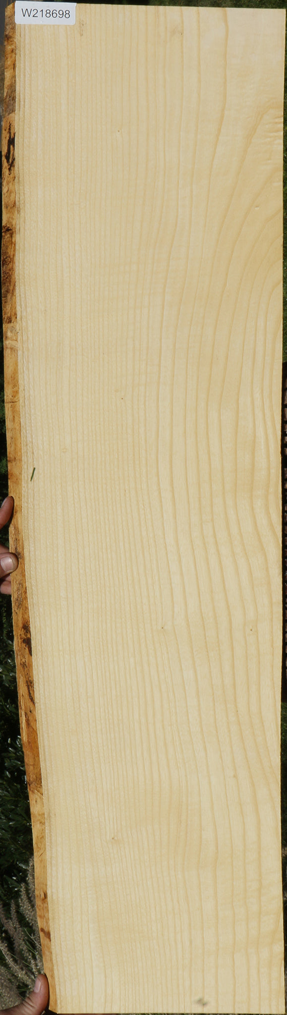 Extra Fancy Fiddleback French Ash Live Edge Lumber