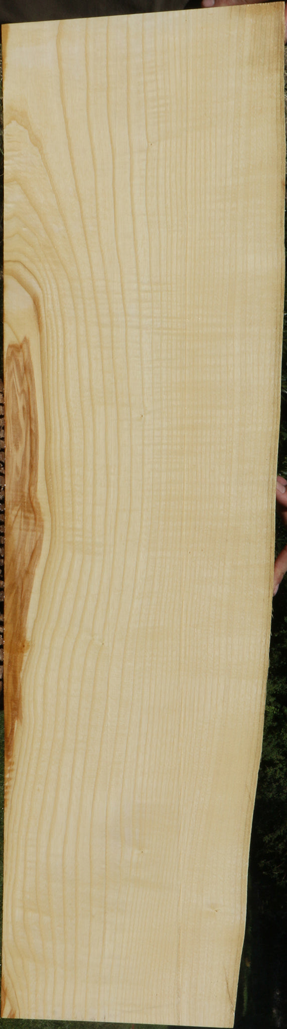 Extra Fancy Fiddleback French Ash Live Edge Lumber