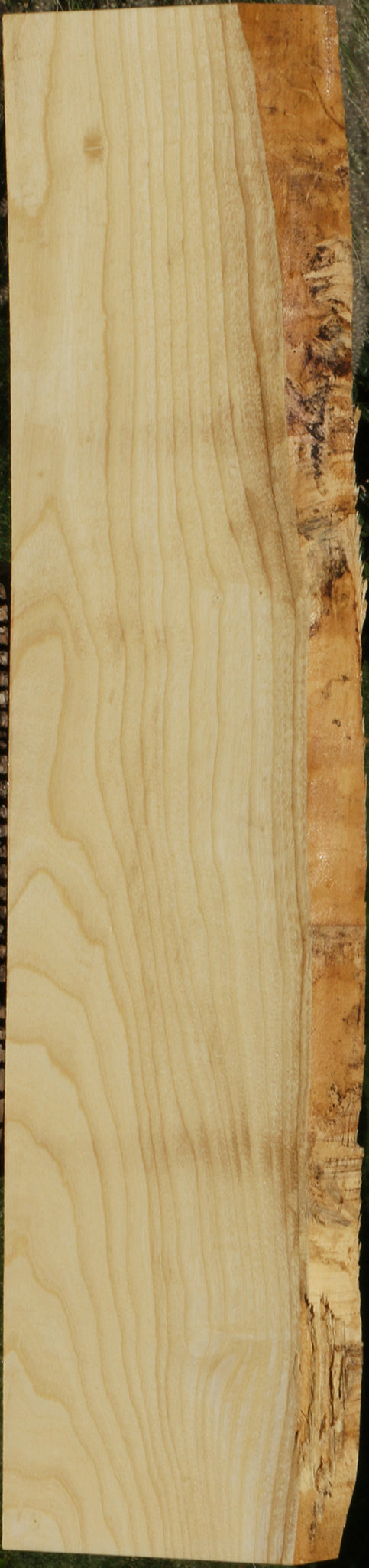 French Ash Live Edge Lumber