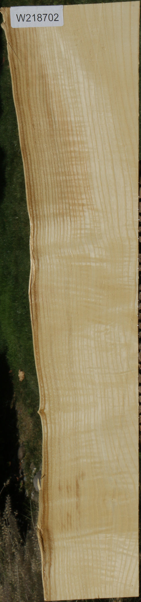 Extra Fancy Fiddleback French Ash Live Edge Lumber