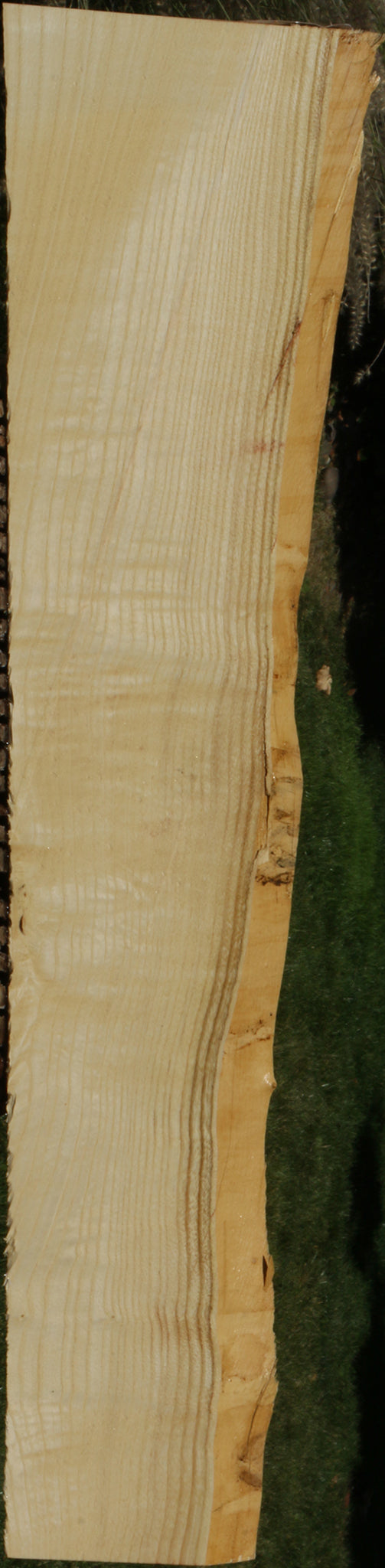 Extra Fancy Fiddleback French Ash Live Edge Lumber