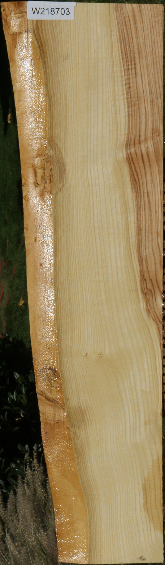 Extra Fancy Fiddleback French Ash Live Edge Lumber