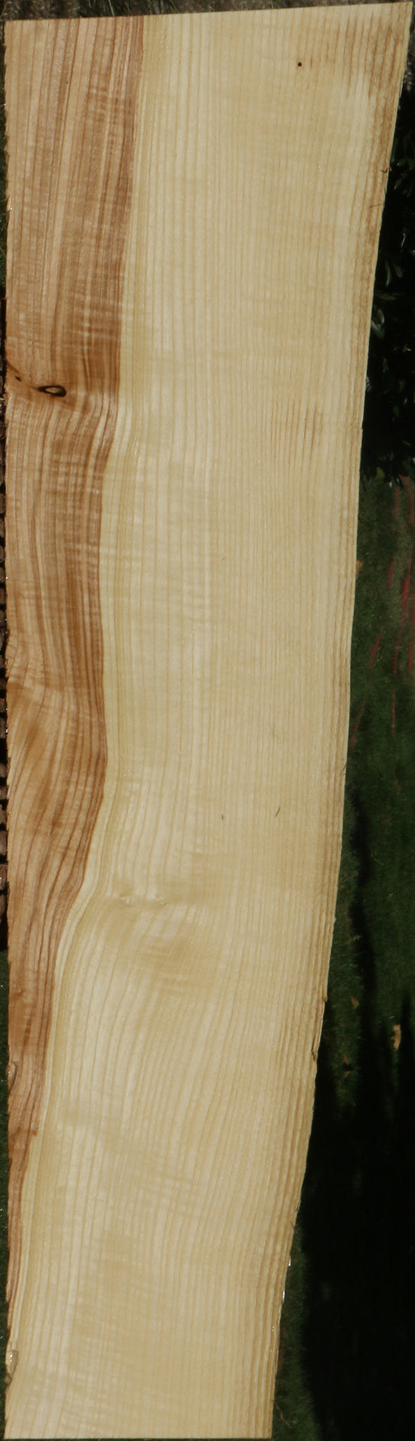 Extra Fancy Fiddleback French Ash Live Edge Lumber