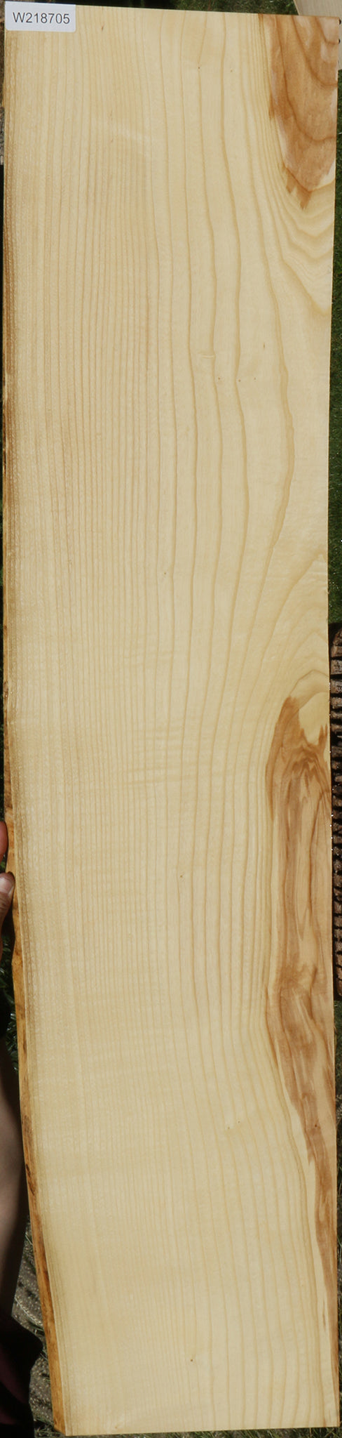 Extra Fancy Fiddleback French Ash Lumber