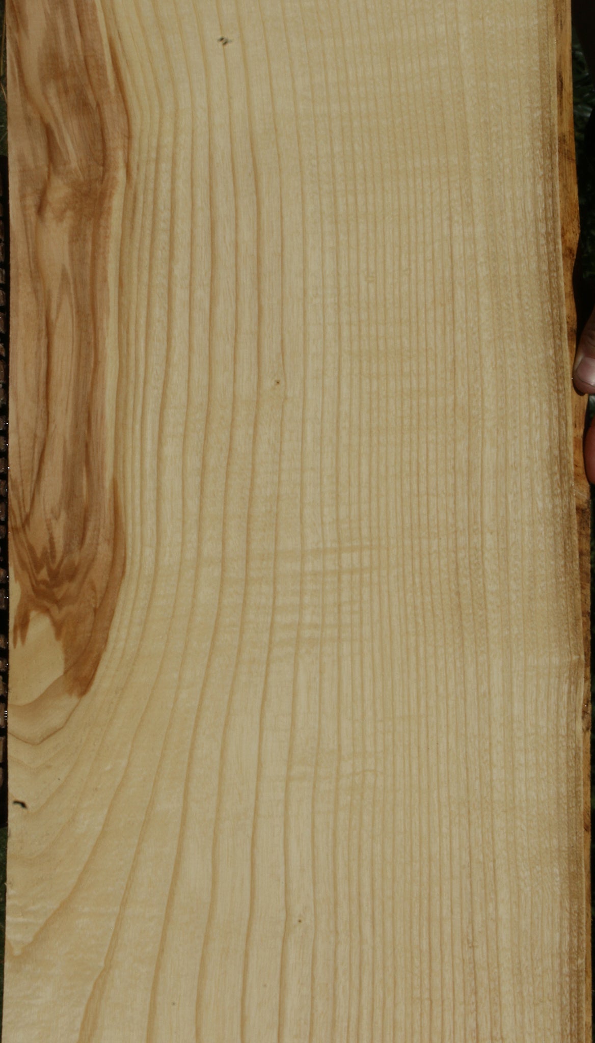 Extra Fancy Fiddleback French Ash Lumber