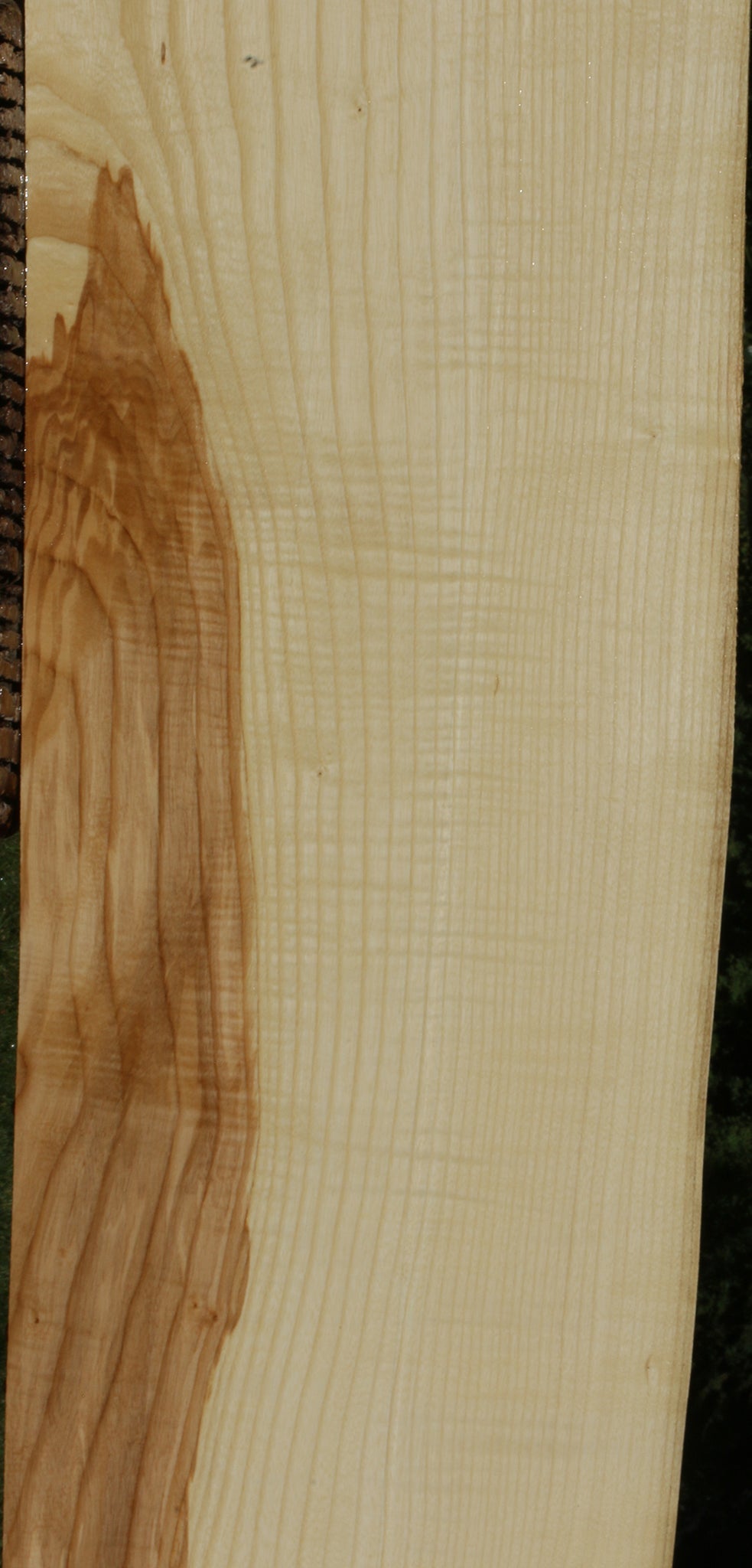 Extra Fancy Fiddleback French Ash Lumber