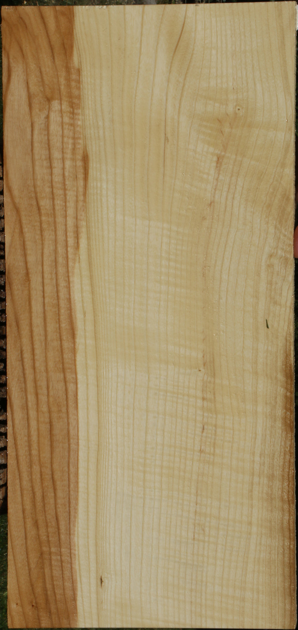 Extra Fancy Fiddleback French Ash Lumber