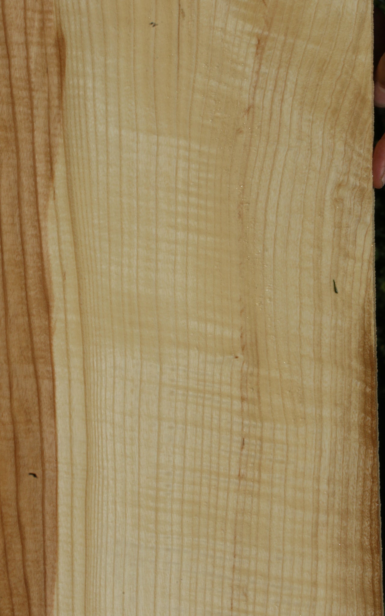 Extra Fancy Fiddleback French Ash Lumber