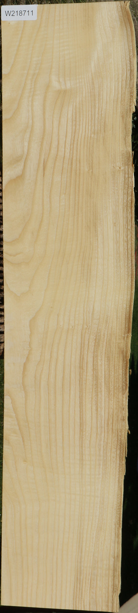 Extra Fancy Fiddleback French Ash LIve Edge Lumber