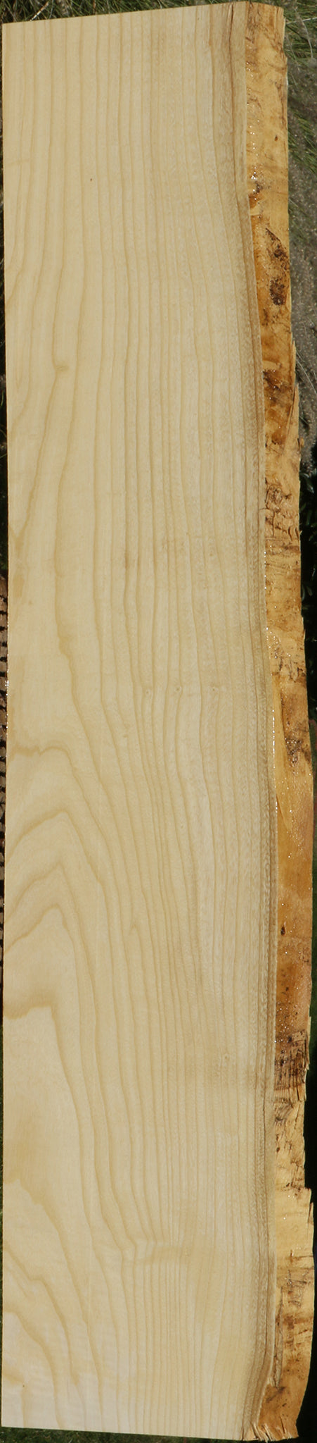 Extra Fancy Fiddleback French Ash LIve Edge Lumber