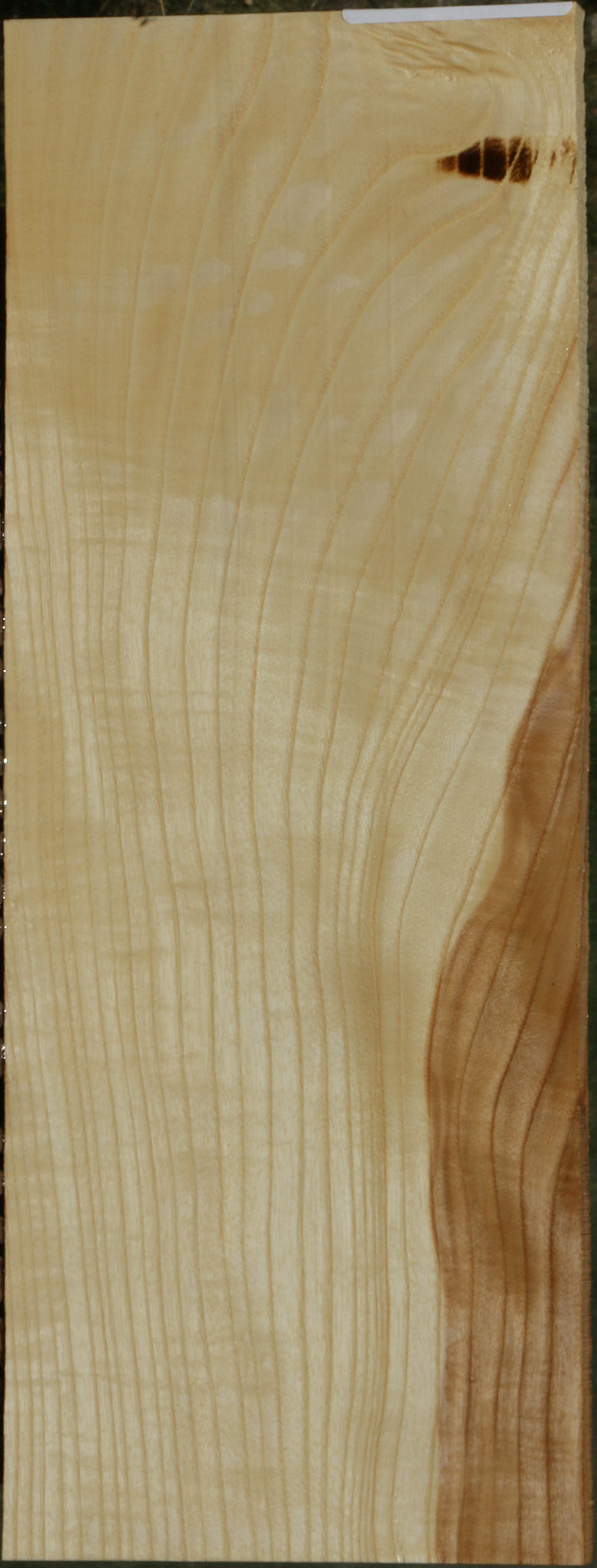 Extra Fancy Fiddleback French Ash Micro Lumber