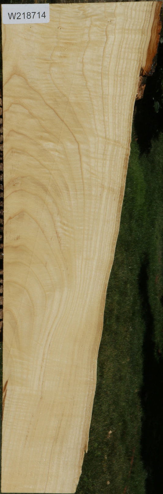 Extra Fancy Fiddleback French Ash Lumber