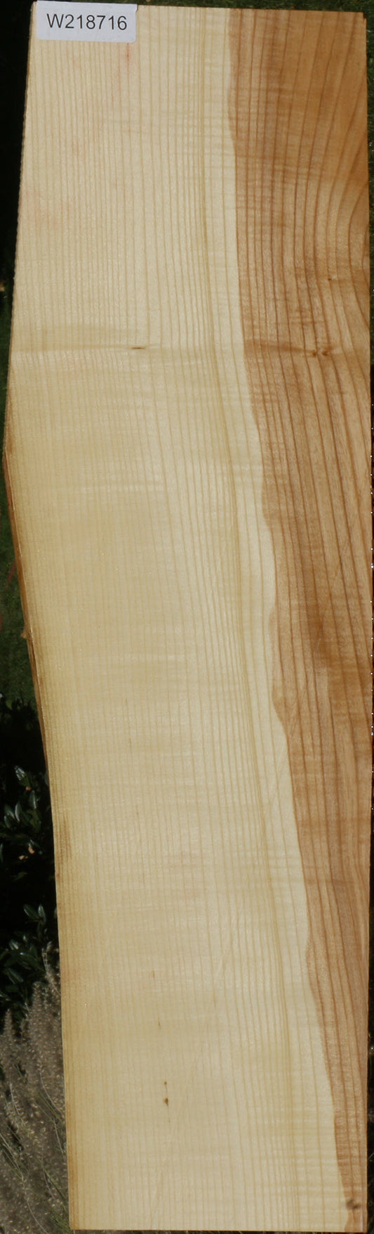 Extra Fancy Fiddleback French Ash Lumber