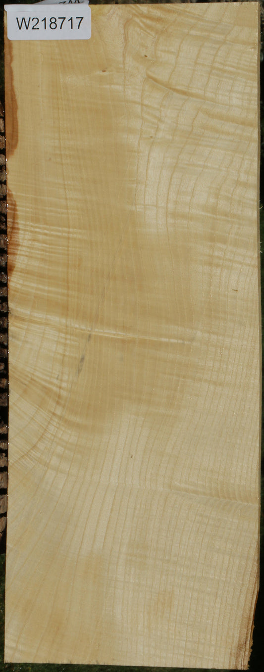 Extra Fancy Fiddleback French Ash Micro Lumber