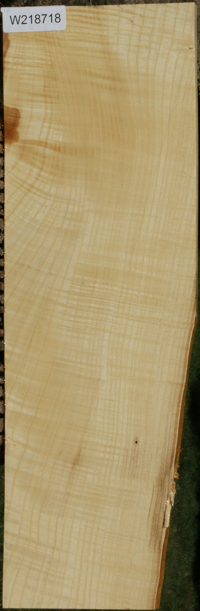 Extra Fancy Fiddleback French Ash Micro Lumber