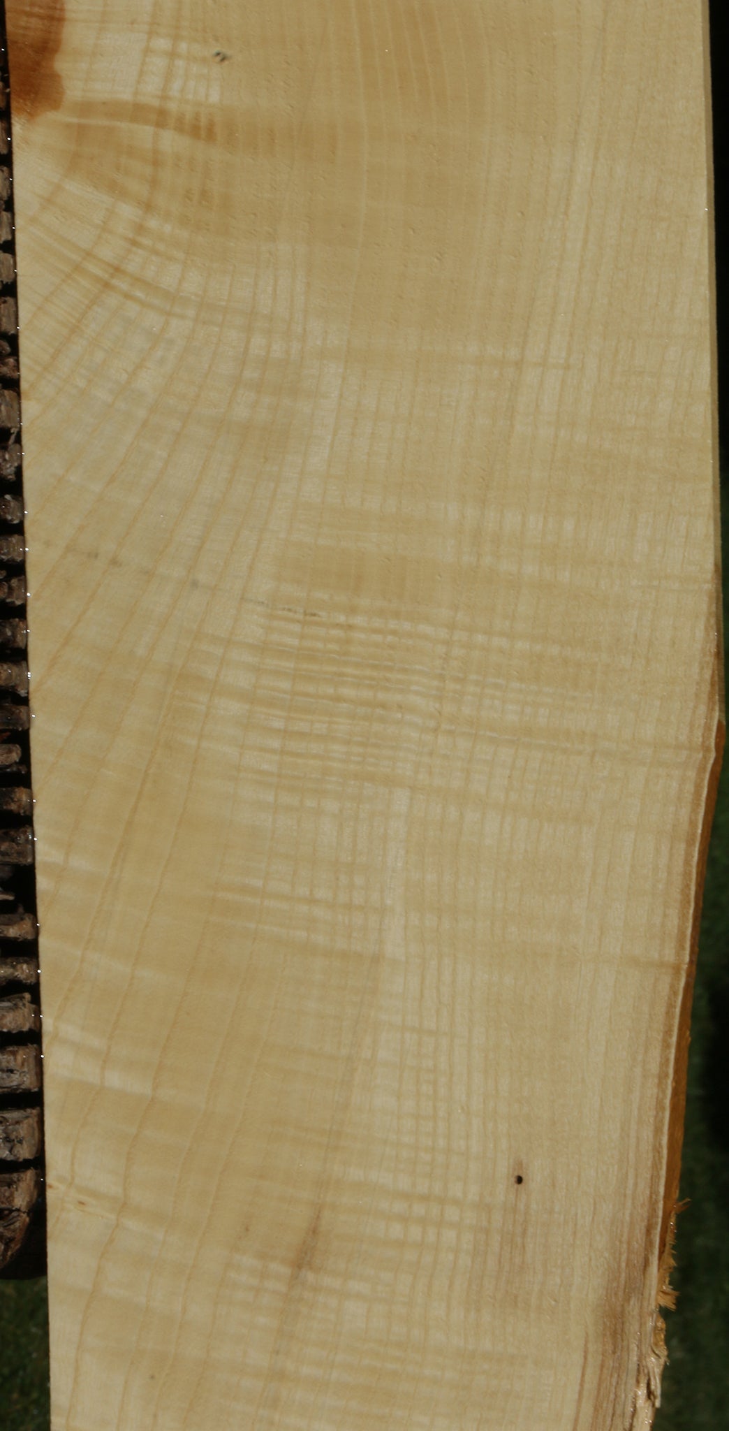 Extra Fancy Fiddleback French Ash Micro Lumber