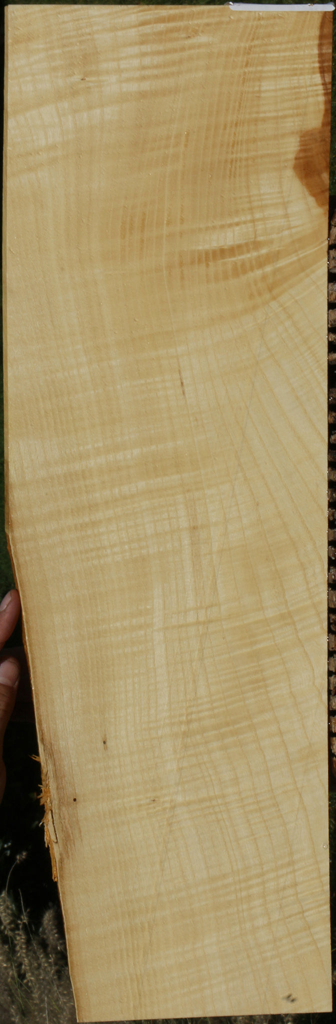 Extra Fancy Fiddleback French Ash Micro Lumber