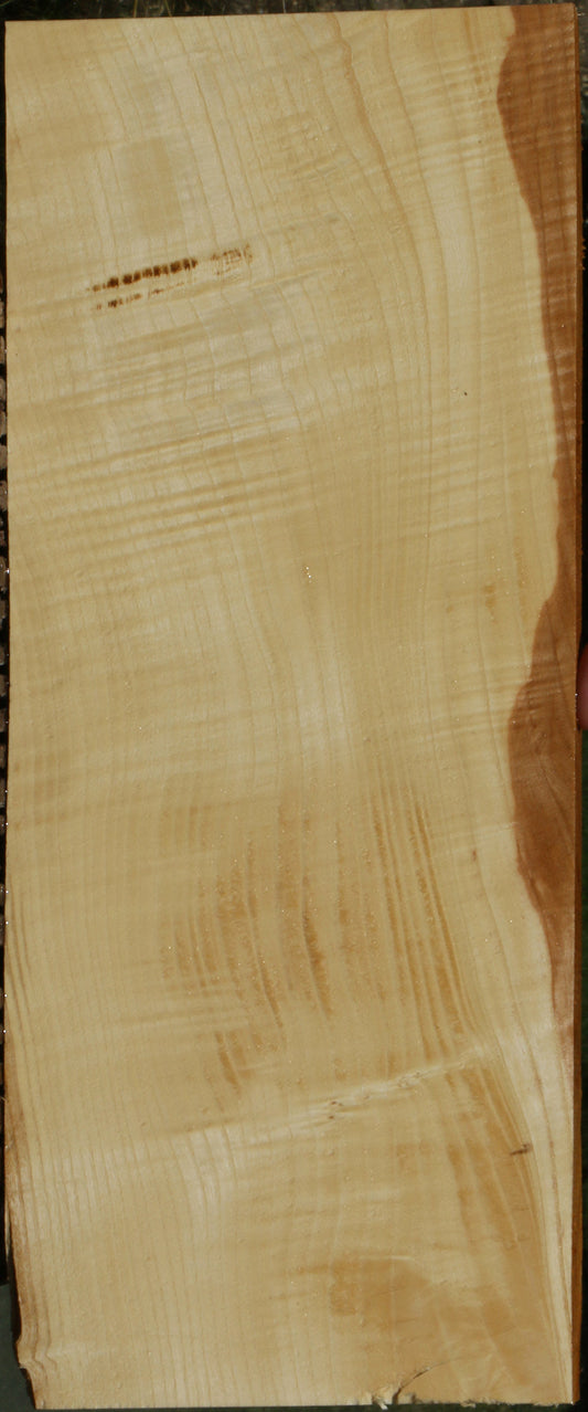 Extra Fancy Fiddleback French Ash Micro Lumber