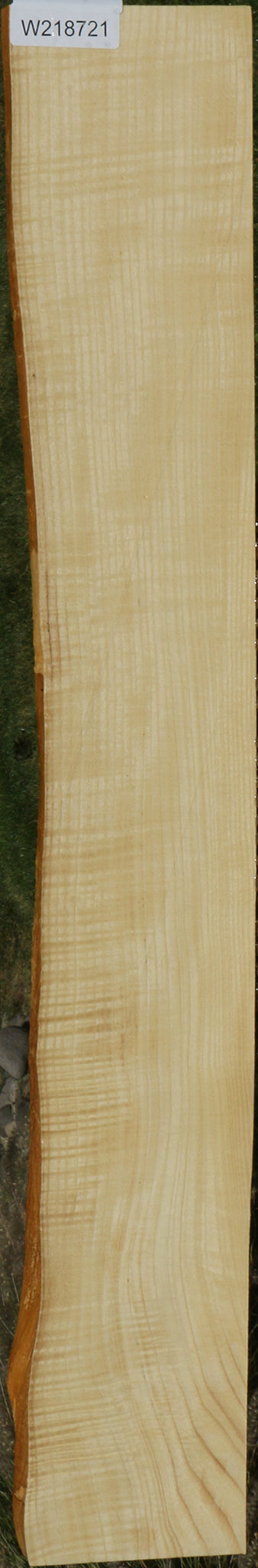 Extra Fancy Fiddleback French Ash Live Edge Lumber