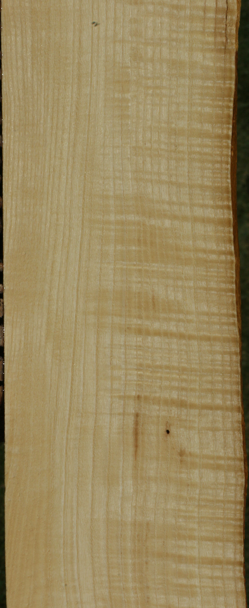 Extra Fancy Fiddleback French Ash Live Edge Lumber