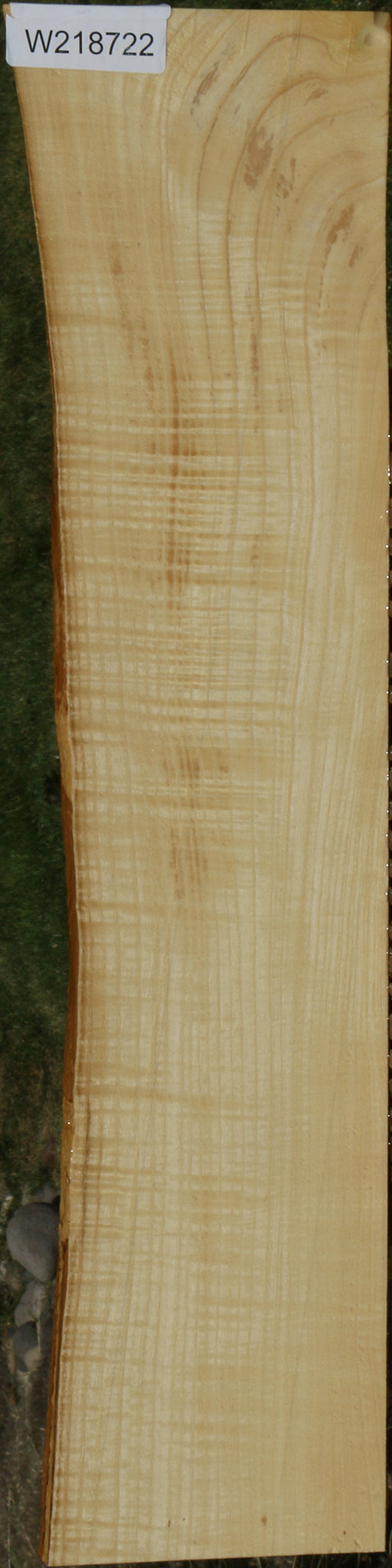 Extra Fancy Fiddleback French Ash Live Edge Lumber