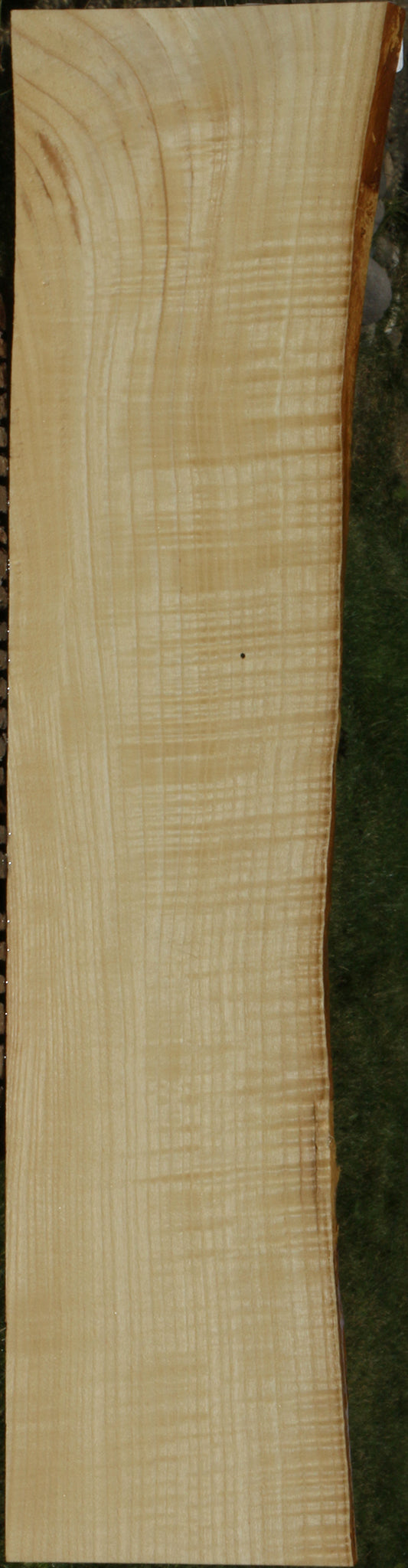 Extra Fancy Fiddleback French Ash Live Edge Lumber