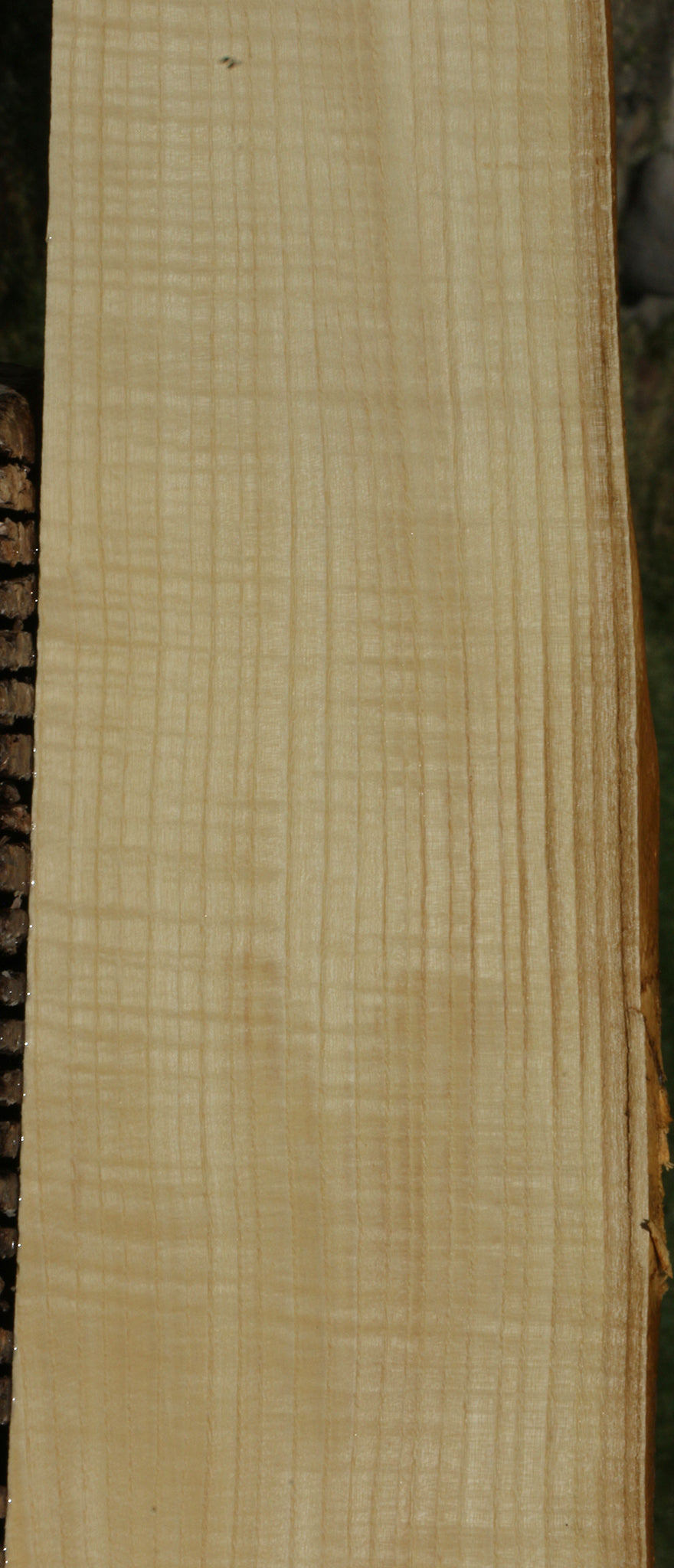 Extra Fancy Fiddleback French Ash Lumber