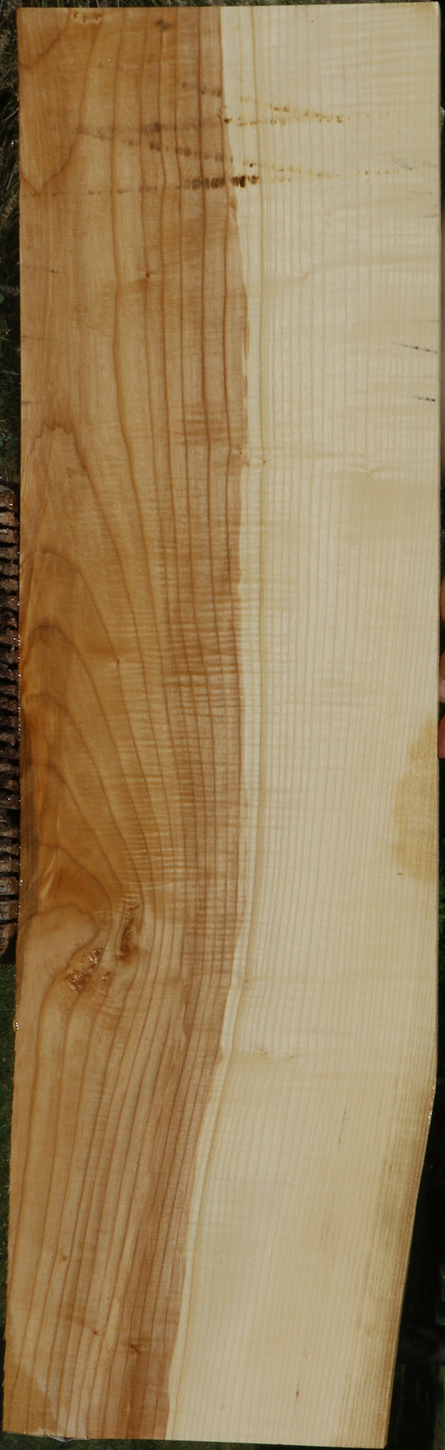 Extra Fancy Fiddleback French Ash Lumber