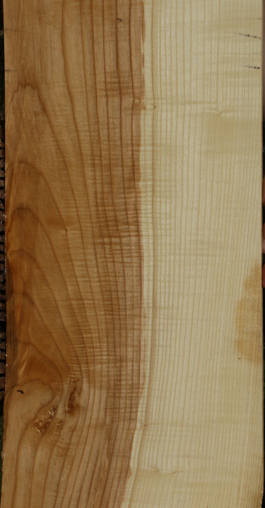 Extra Fancy Fiddleback French Ash Lumber