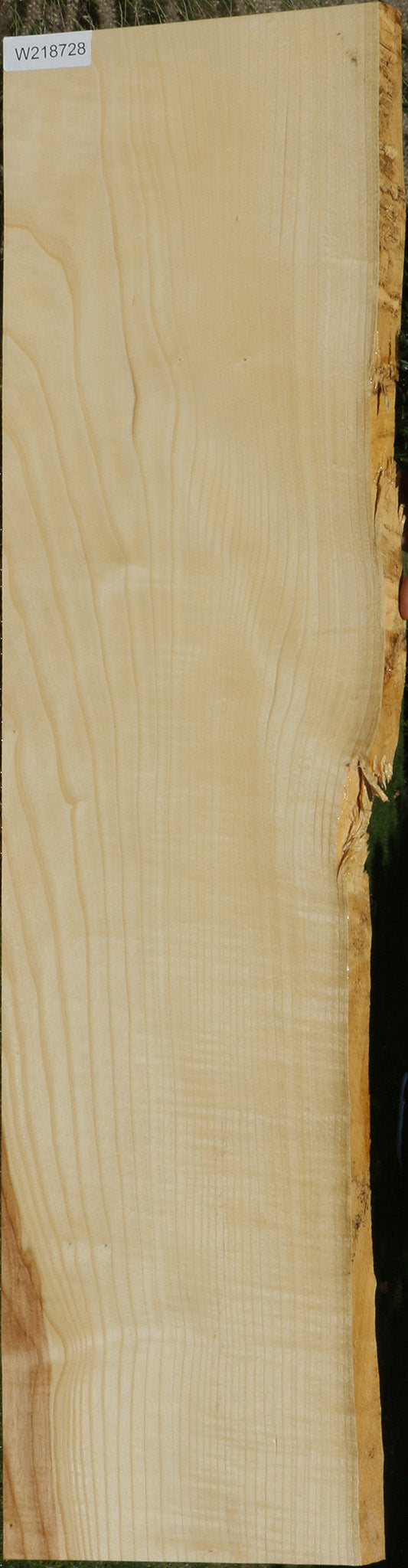 Extra Fancy Fiddleback French Ash LIve Edge Lumber