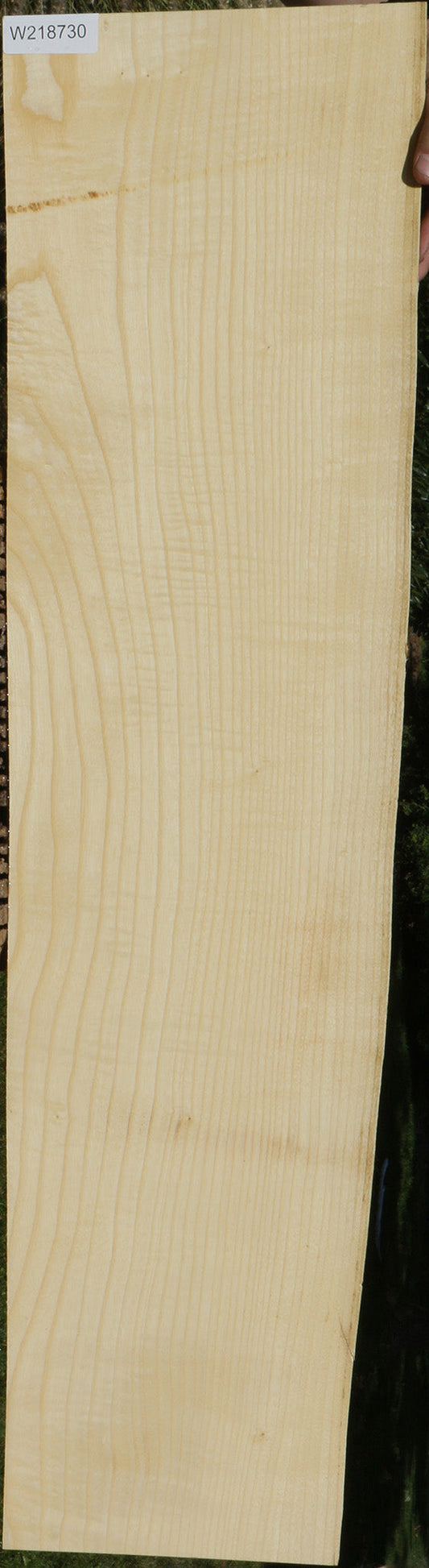 Extra Fancy Fiddleback French Ash LIve Edge Lumber