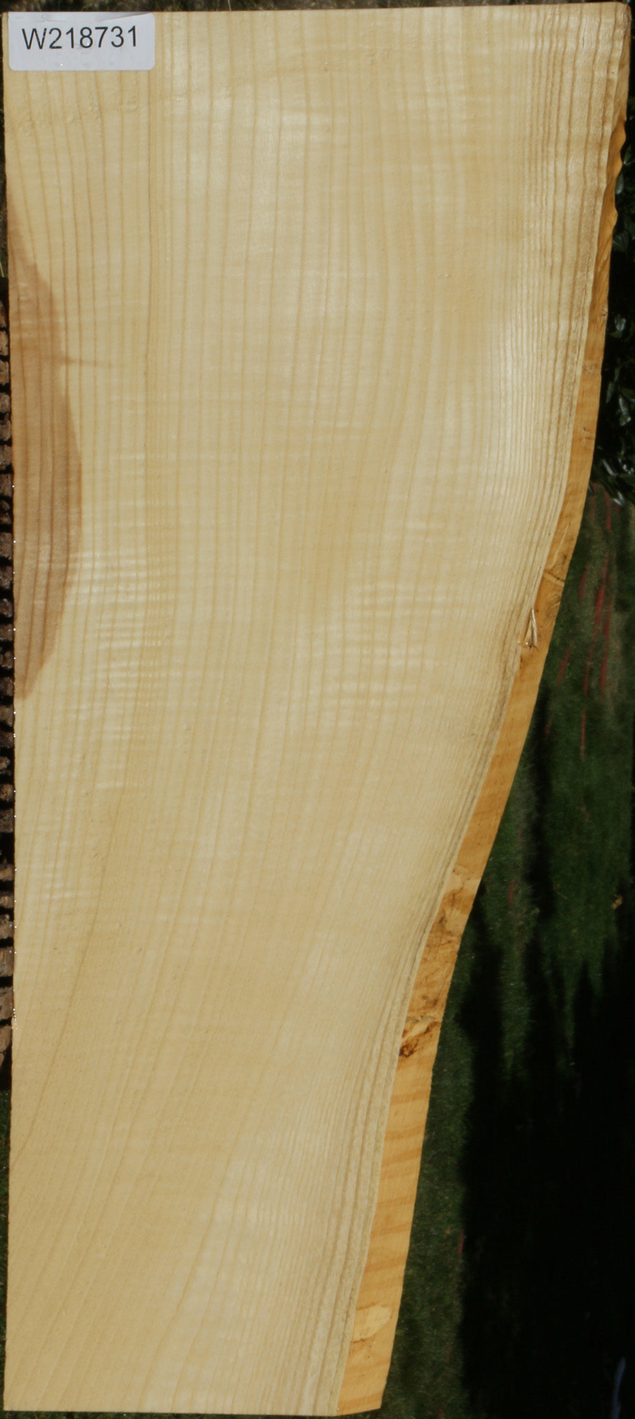 Extra Fancy Fiddleback French Ash Lumber