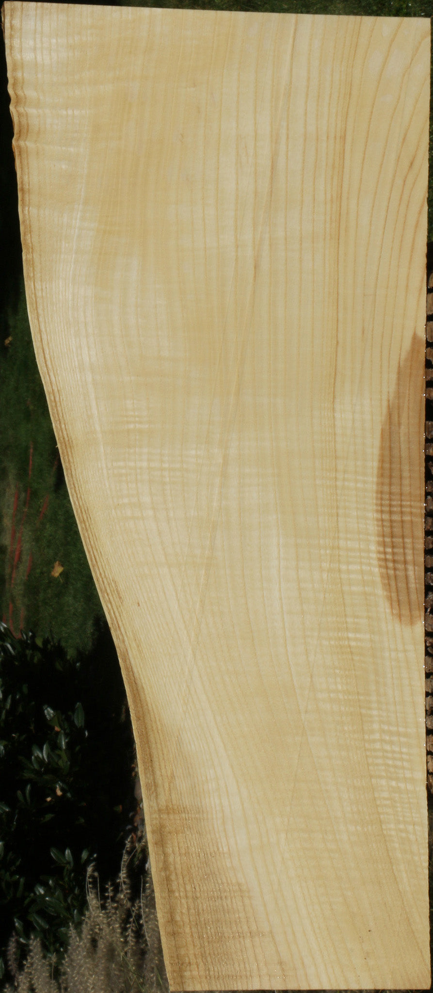 Extra Fancy Fiddleback French Ash Lumber