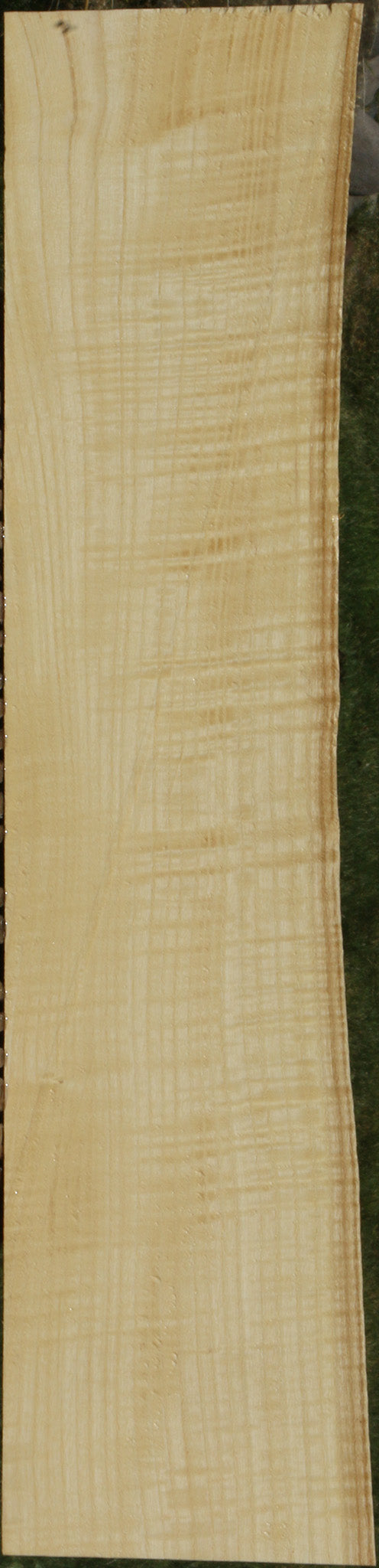 Extra Fancy Fiddleback French Ash Live Edge Lumber