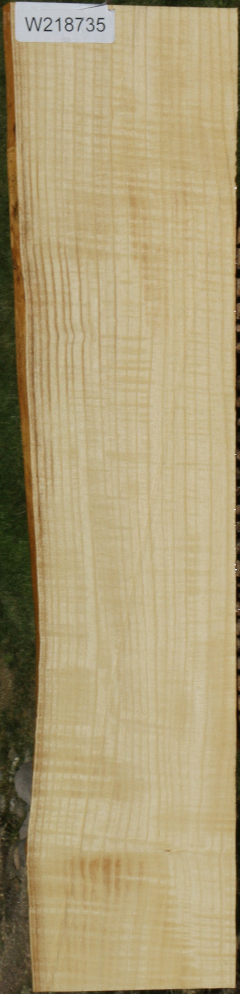 Extra Fancy Fiddleback French Ash Lumber